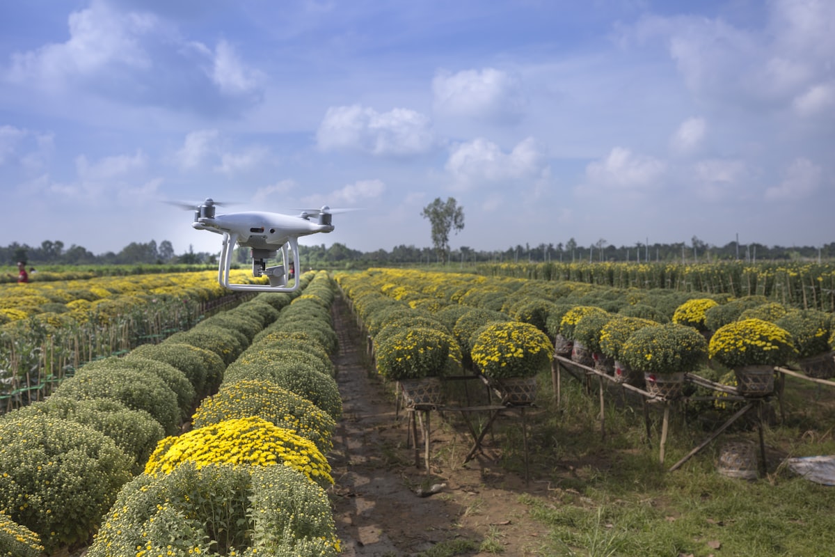 Dron agrícola en Almendro