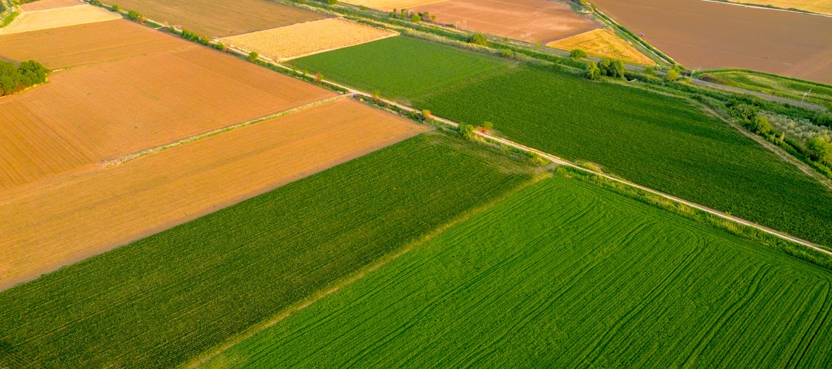 Mapeo y análisis de cultivos